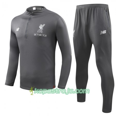 Liverpool Tränings Sweatshirtställ Grå 2018/19